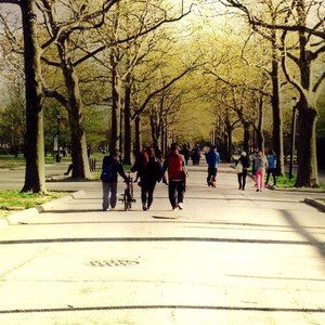 Meet your Posher, William